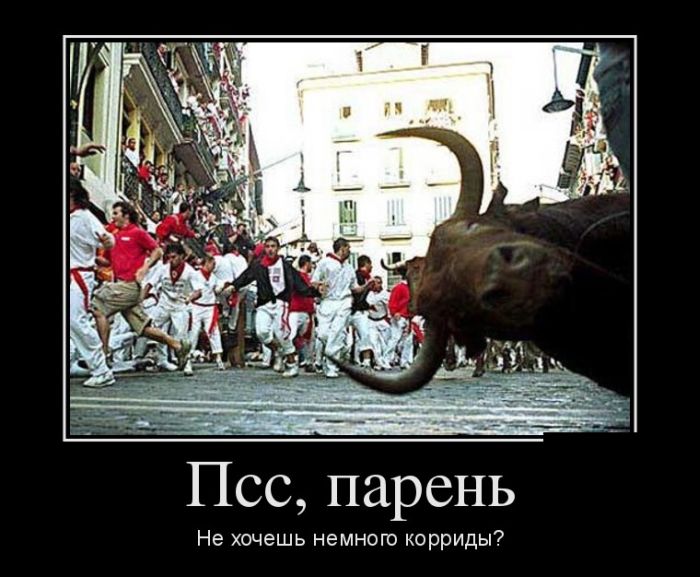 Подборка интересных и веселых картинок №33 демотиваторы