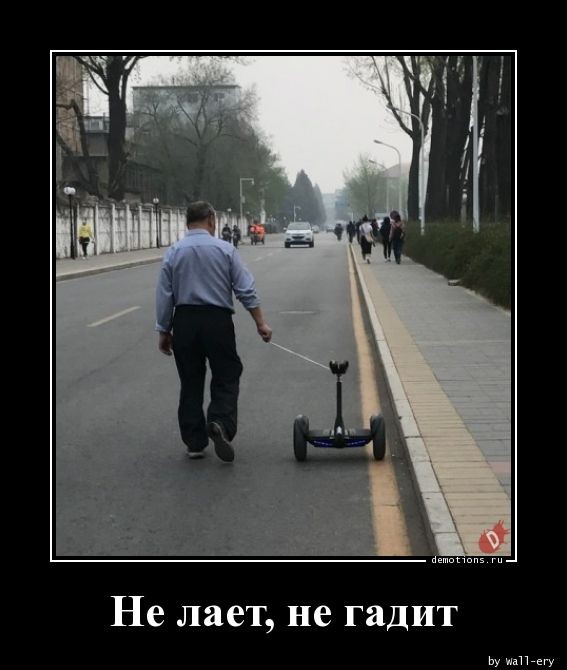 Традиционная коллекция демотиваторов для ценителей приколов и юмора! 