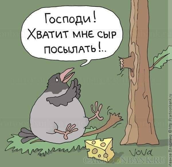 Юмор из интернета 664 позитив,смех,улыбки,юмор