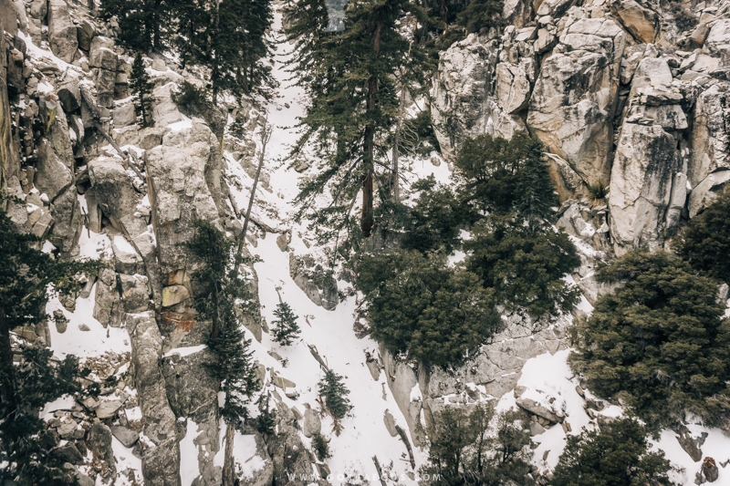 Winter in Mount San Jacinto State Park.jpg