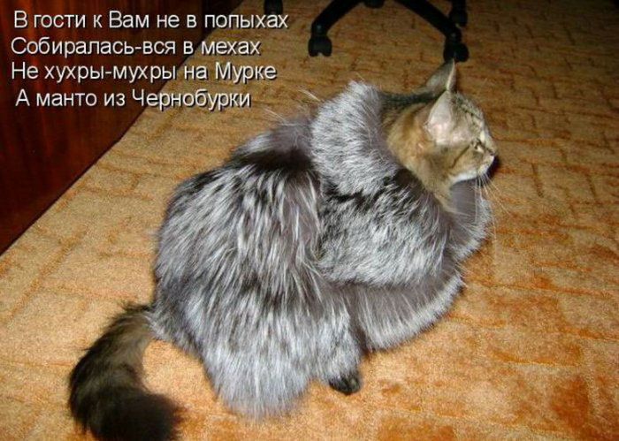 - Чтобы ты смог затащить меня в постель, тебе нужно показать, что ты умный. - Lоndоn is thе сарitаl оf Grеаt Вritаin анекдоты,веселые картинки,приколы,юмор