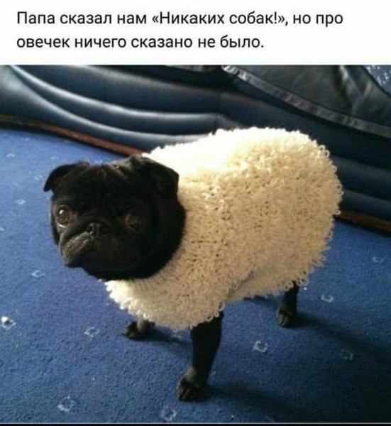 Плохие танцоры ночью нарасхват Плохие танцоры ночью нарасхват анекдоты,демотиваторы,приколы,юмор