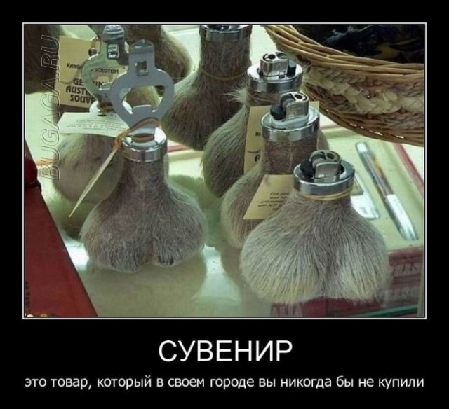 Демотиваторы – приколы: «Тренировочный центр»  