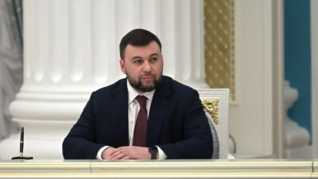 Глава ДНР Пушилин раскрыл способ казни иностранных наемников