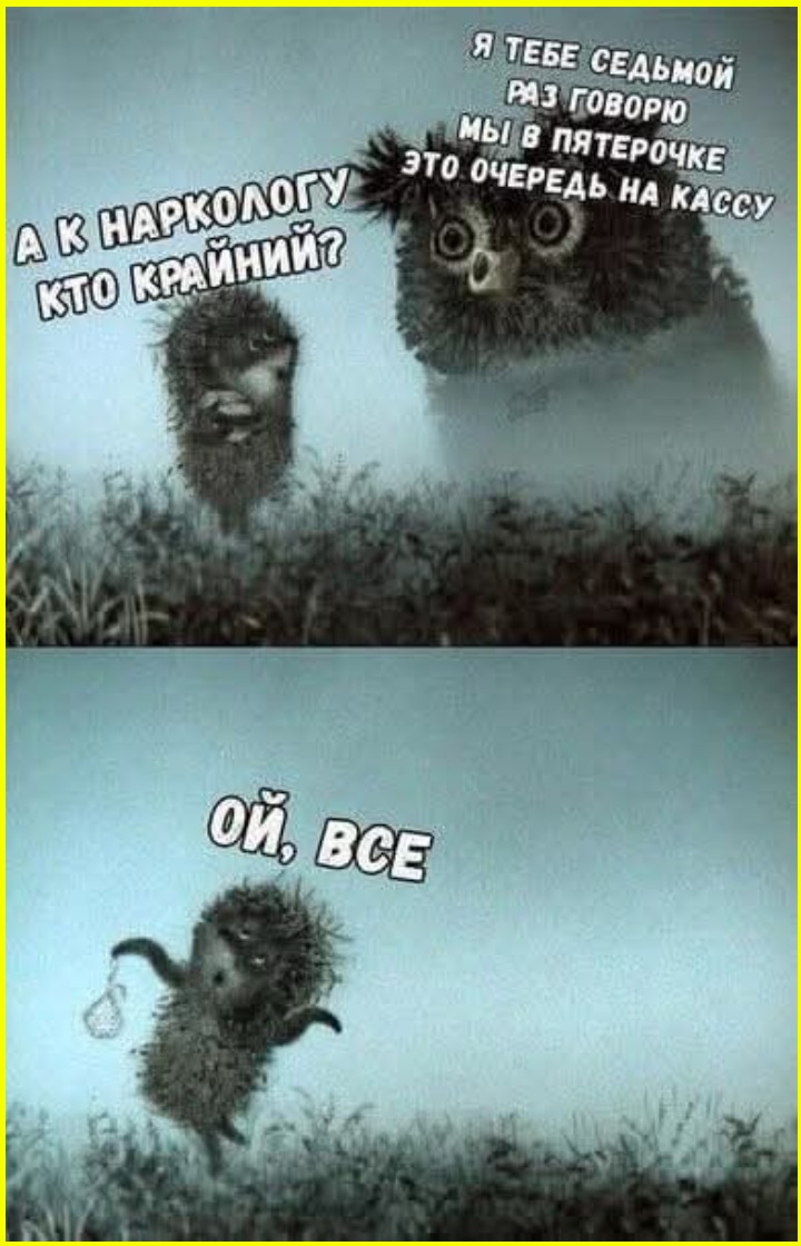 Юмор на сон грядущий Пятница 