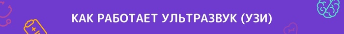 Краткая история медицинской визуализации: от рентгеновского снимка до искусственного интеллекта можно, изображение, картинка, органов, только, внутренних, которые, нужно, рентгеновские, вообще, пациента, изображения, выглядит, рентген, помощи, томография, визуализации, гораздо, проявлять, может