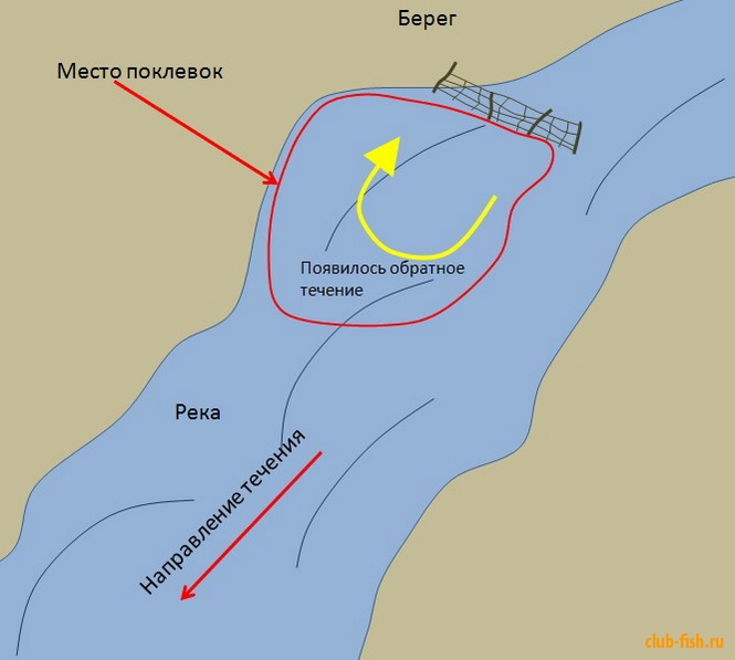 Найти течение. Перспективные места на реке. Места ловли налима. Места ловли налима зимой на реке. Места ловли налима на реке.