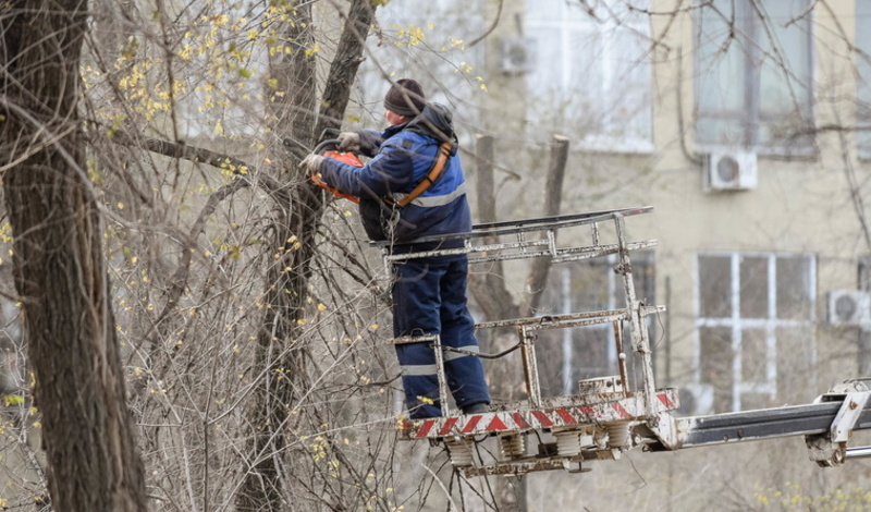 В Омске начали готовиться к сносу деревьев на месте будущего дома для «переселенцев»