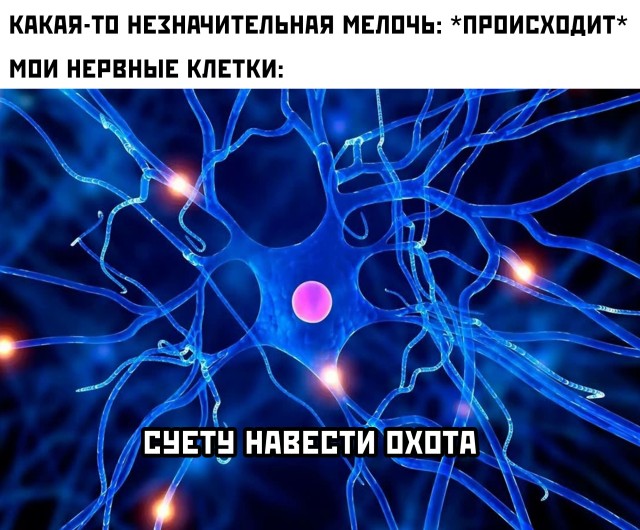 Подборка картинок. Вечерний выпуск  приколы,смешные картинки,юмор