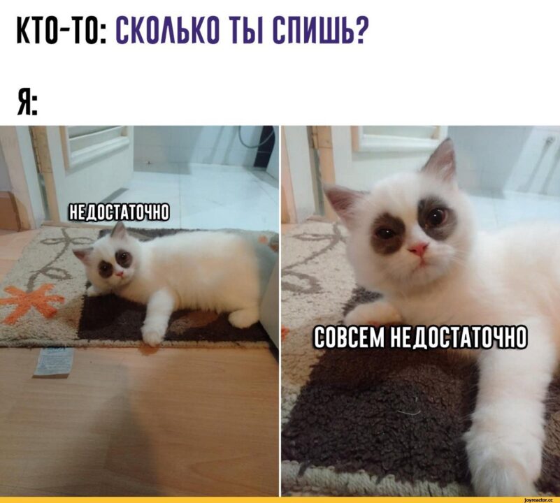 Прикольные открытки для поднятия настроения 