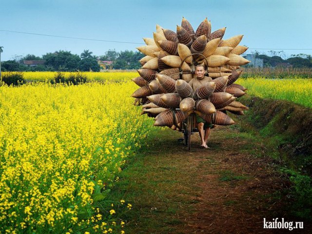 Лучшие фото National Geographic 2015 (75 фото)