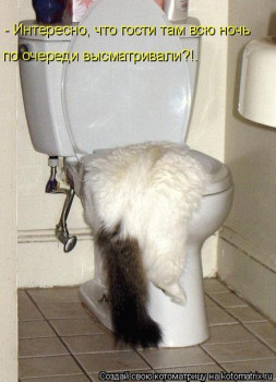 ЖИЗНЬ ЖИВОТНЫХ  Сначала, милота, настроения             , жизненные, ситуации                                                               
