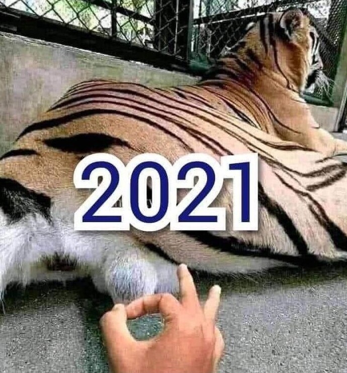 Интересно, что принесёт нам 2021-й год? Это риторический вопрос