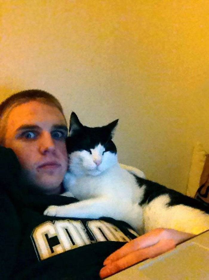 30 случаев, когда люди думали, что у них нет кота, но вот же он