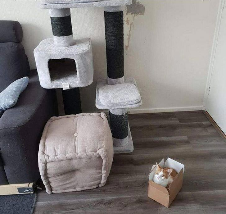 25 невезучих людей, которые страдали за то, чтобы вам было смешно 25 невезучих людей, которые страдали за то, чтобы вам было смешно картинки