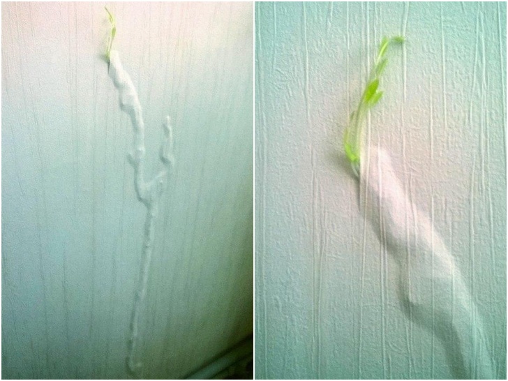 20 фото, которые подтверждают, что на нашей планете нет ничего могущественнее силы природы интересное,природа,фотография