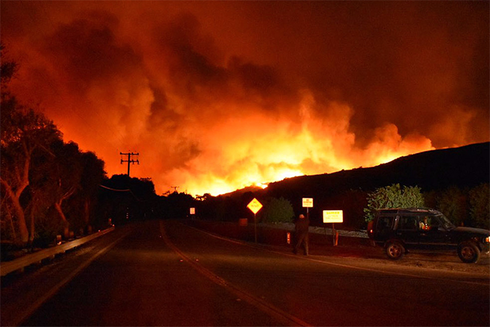 man-saves-bunny-wild-fires-california-8