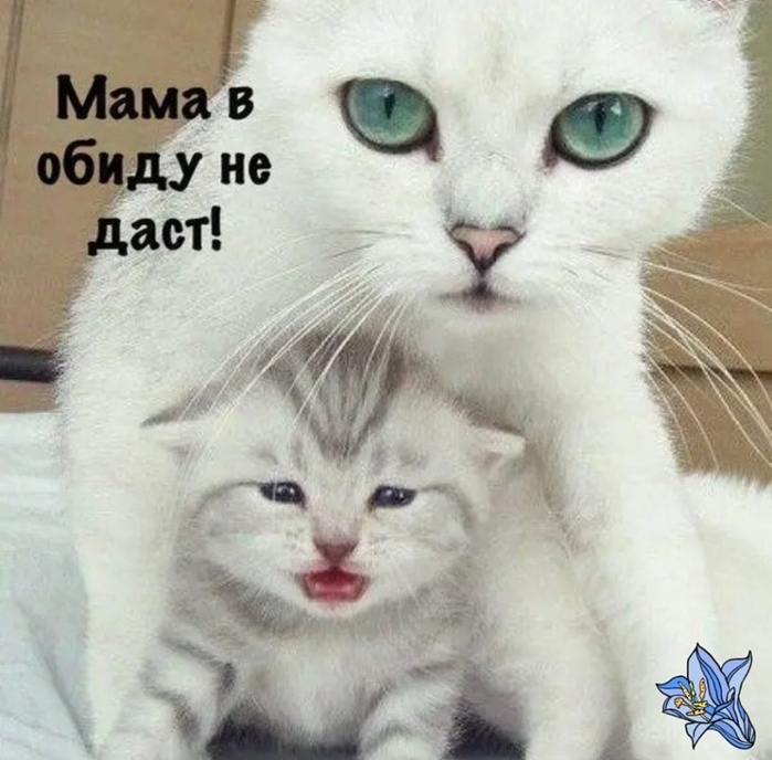 Когда моя жена говорит: "Господи! Как ты мне надоел!", я всегда за него заступаюсь