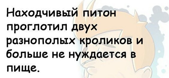 Яркие шутки, чтобы получить хорошее настроение 