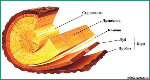 Сусеки, горница, гумно — старинные бытовые понятия, значение которых знают далеко не все слово, горница, чтото, используется, понятно, сооружение, деревянное, хранения, может, пряжей, сусекам, использовали, старуха, здесь, которое, тайник, могли, между, расположенный, пеньки