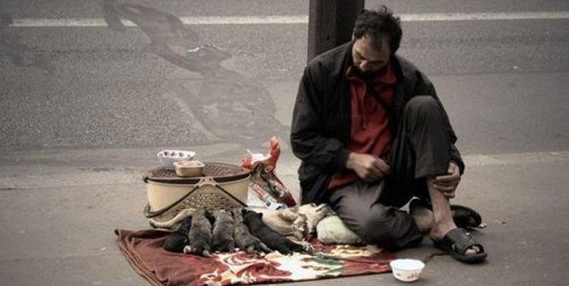 25 фото, которые никого не оставят равнодушными 25 фото, которые никого не оставят равнодушными жизнь,красота,природа