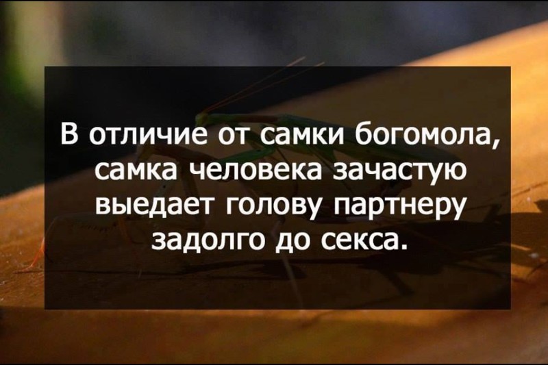 Картинки, которые гарантированно поднимут вам субботнее настроение  прикол, смешно, юмор