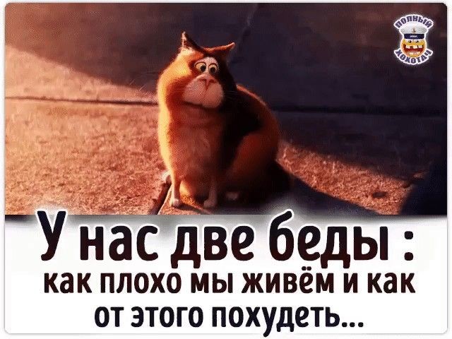 Яркие шутки, чтобы получить хорошее настроение 