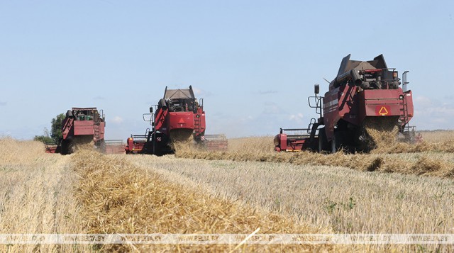 В Могилевской области зерноуборочная техника из южных районов переброшена на помощь северным.