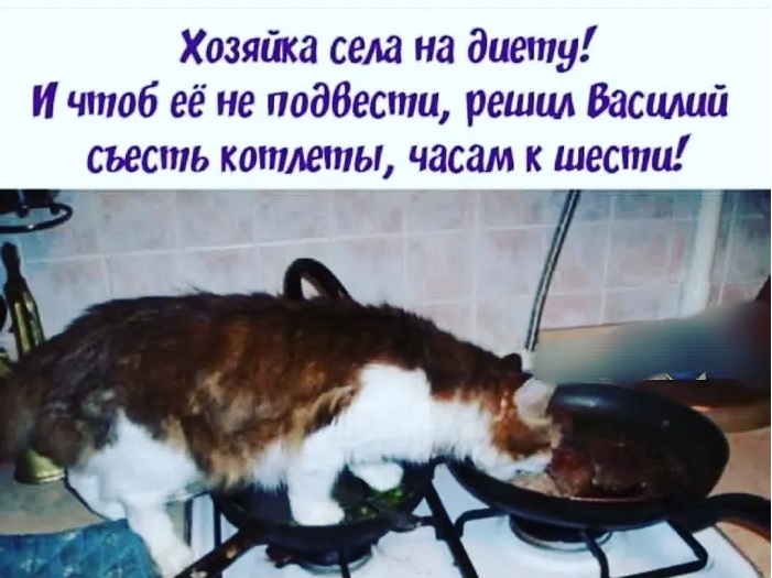 Отруби. Это был очень быстрый тест на то, викинг вы или диетолог Отруби. Это был очень быстрый тест на то, викинг вы или диетолог опаздываю, работу, значит, бегать, троллейбусом, гордость, вообщето с , Дарья, Романова