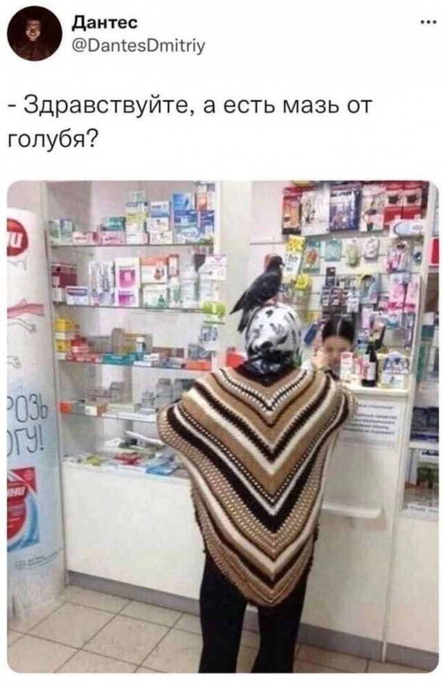 Интернет мемы и кот который не боится пылесоса 