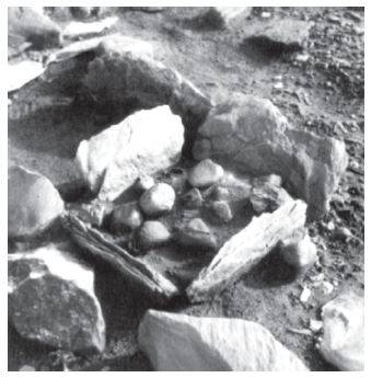 Штурмуя Высокие Широты. Первые люди в Гренландии история