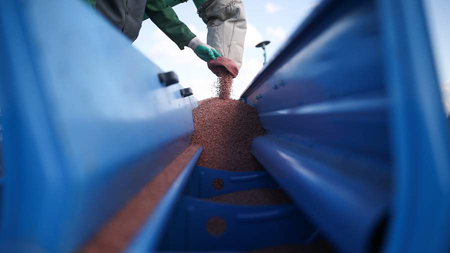 Рынку ЕС предрекли трудности с случае ввода пошлины на зерно из РФ
