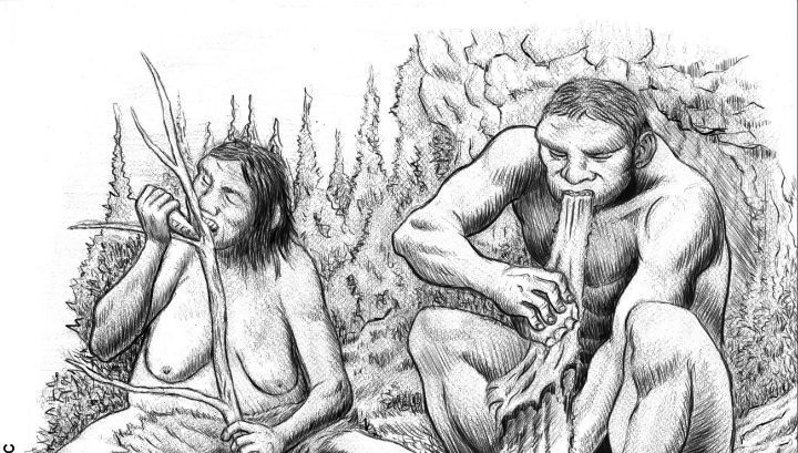 У неандертальцев существовало разделение труда по половому признаку
