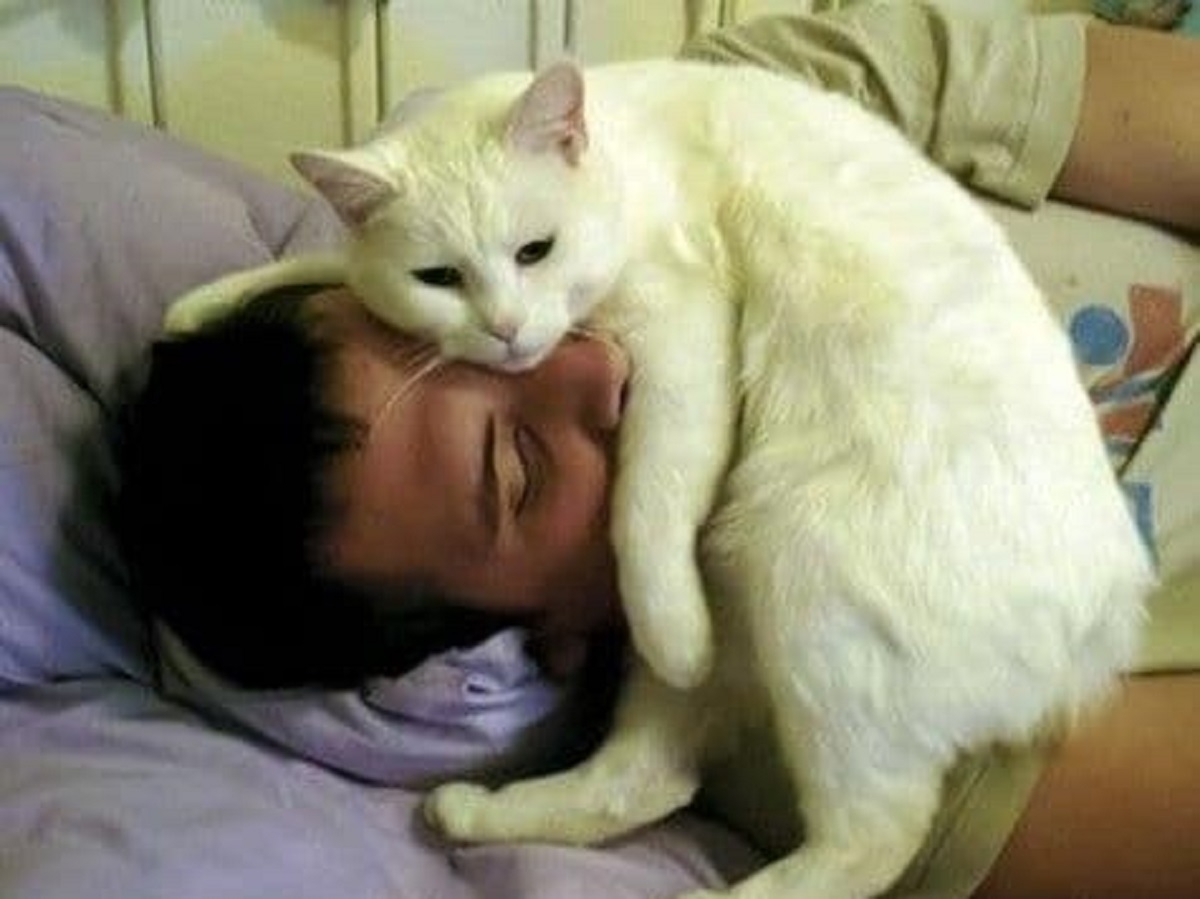Кот спит с хозяином
