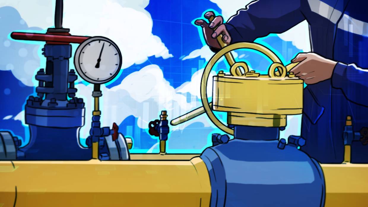 Сенатор Ковитиди напомнила о зиме на фоне приостановки сертификации «Северного потока — 2»