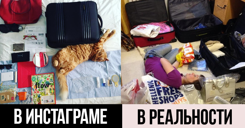 Желтые цветы, сборы в отпуск прикольные картинки