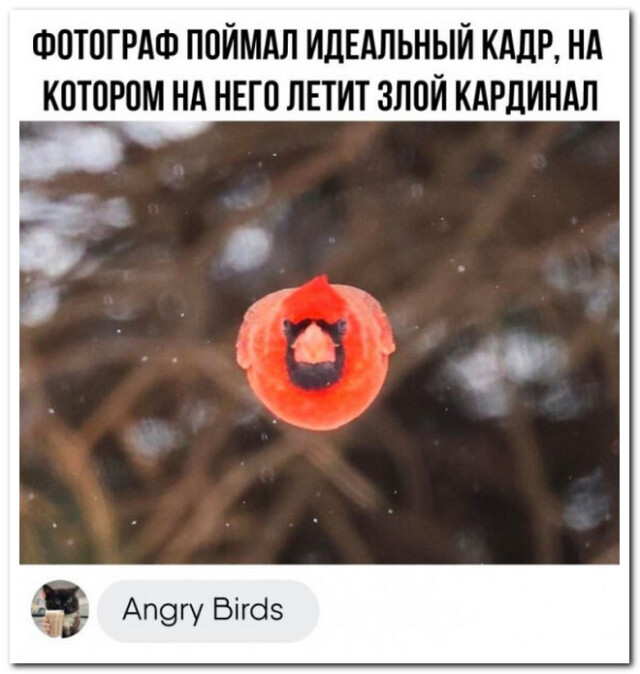 Небольшая коллекция смешных комментариев для хорошего настроения Небольшая коллекция смешных комментариев для хорошего настроения