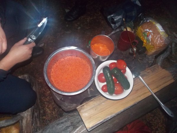14 дней на Кольском полуострове 14 дней на Кольском полуострове интересное, остров, отпуск, путешествие, россия