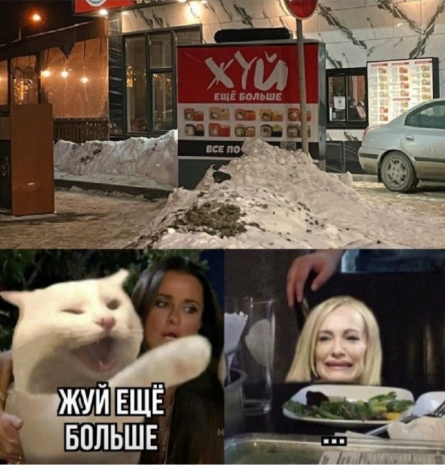 Интернет мемы и кот который не боится пылесоса 