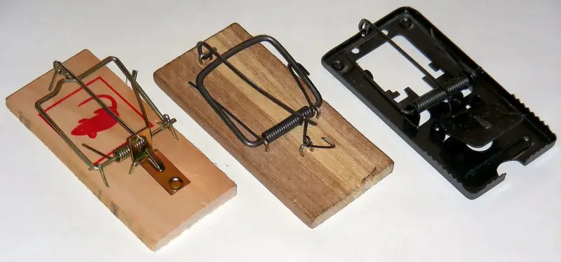 Войска против грызунов: новая проблема в зоне боевых действий Орловская обл,[990952]