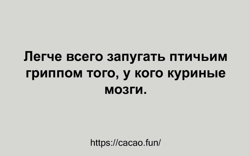 Позитив на весь день: свежая подборка анекдотов 