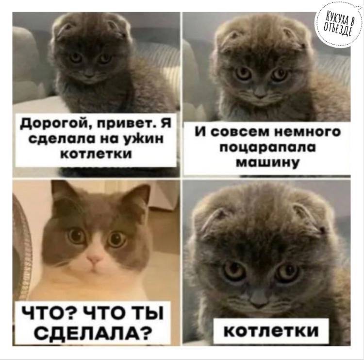 Где тут у вас место для публичного покаяния? Где тут у вас место для публичного покаяния? который, содержанием, страшная, хозяйка, шлангом, ходит, обломилась, понималка, отпала, терпелка, хозяйки, черствая, вдруг, упадетА, столу, тоской, полные, заглянут, подойдут, мискам