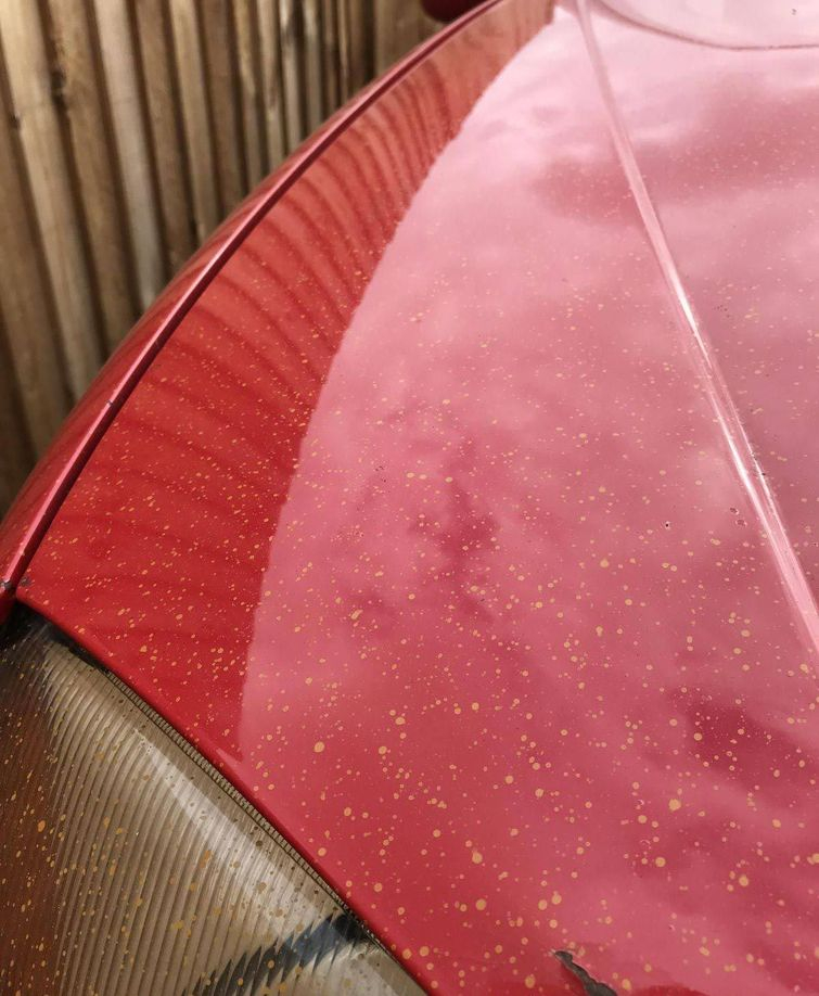 25 невезучих людей, которые страдали за то, чтобы вам было смешно 25 невезучих людей, которые страдали за то, чтобы вам было смешно картинки