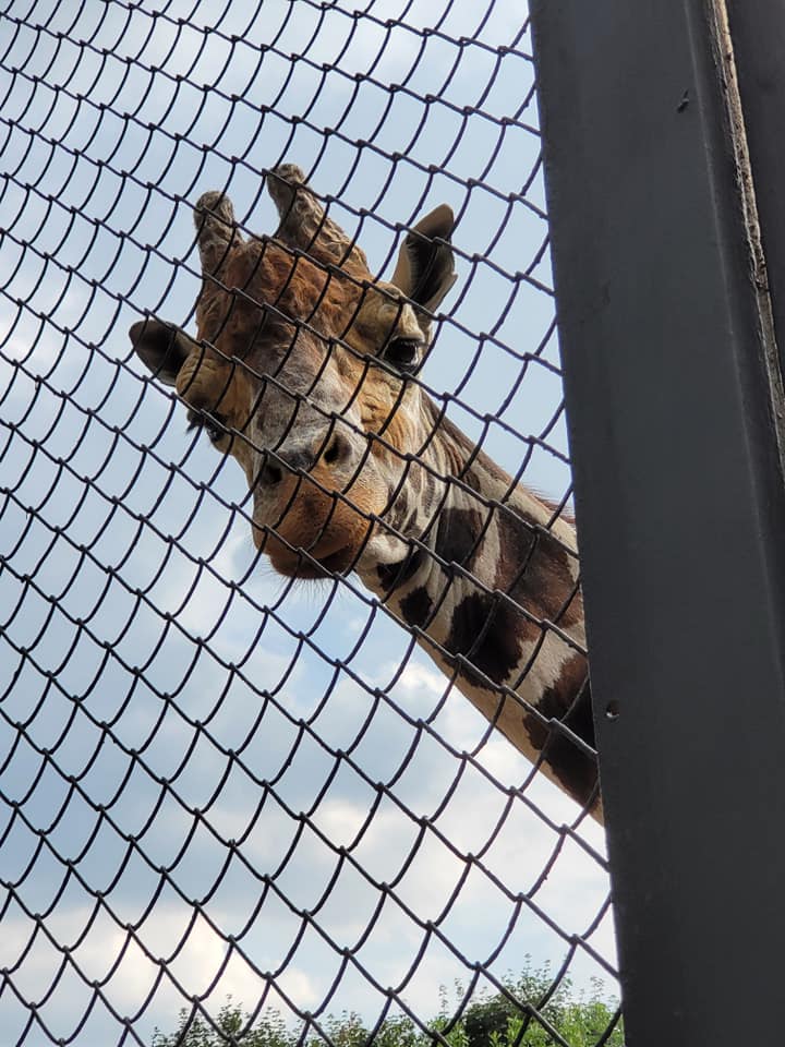 Василий Устюжанин: Простите, я высокий