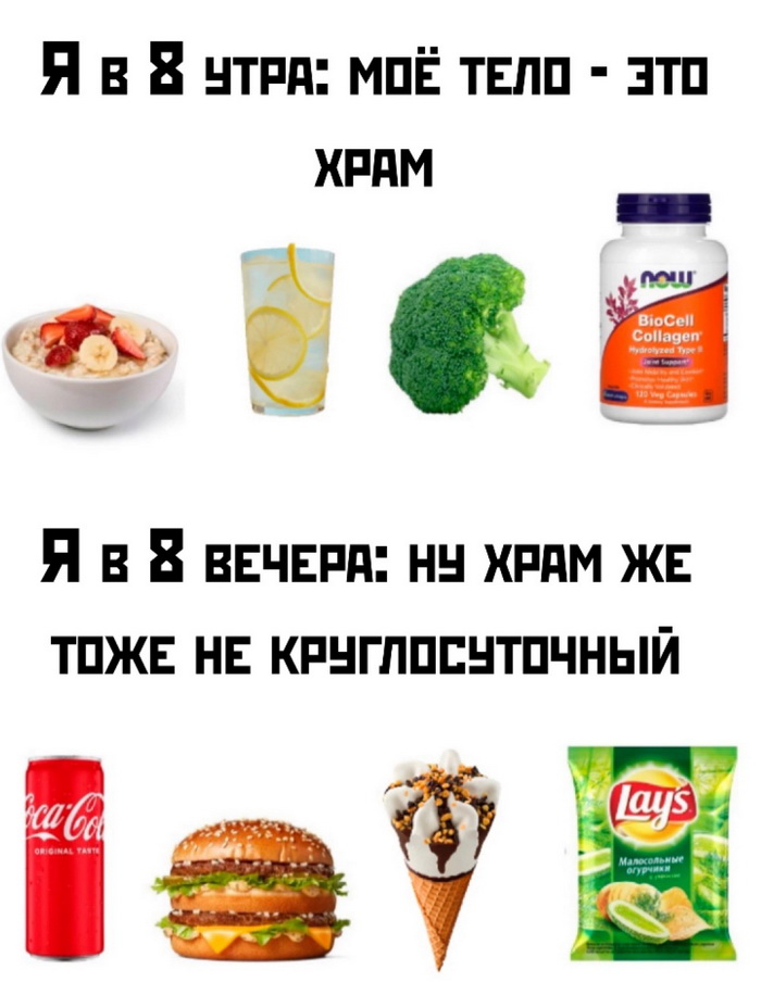 Интернет мемы и кот который не боится пылесоса 