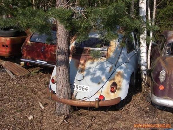 Немного улыбки... Немного улыбки...