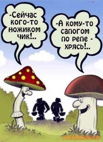 Немного улыбки... Немного улыбки...