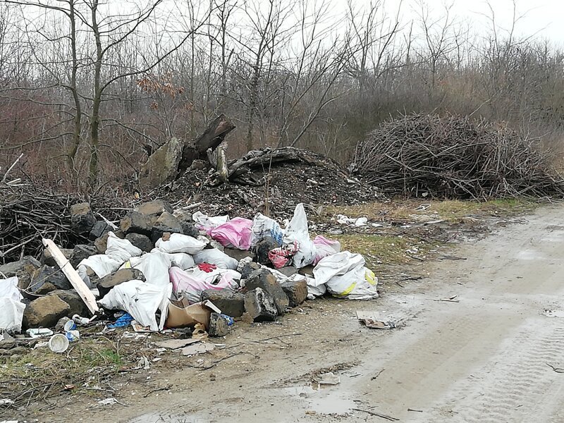 Про мусорный коллапс в Краснодаре Про мусорный коллапс в Краснодаре