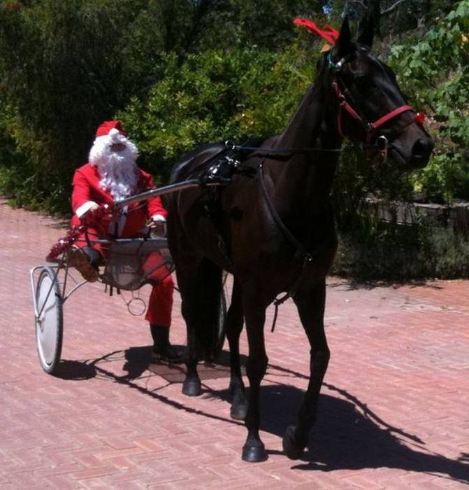 Они уже в пути! картинки,позитив,фото-приколы,юмор