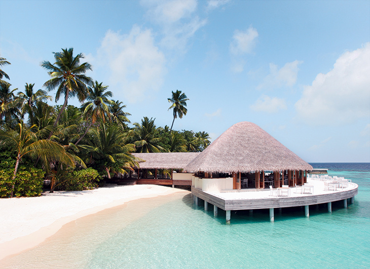 Я искала тебя: зачем ехать на Мальдивы всего, здесь, Seaside, Finolhu, лучше, Huvafen, в компании, встретить, можно, Здесь, Beach, с бокалом, расположен, подводный, жизнь, Fushi, время, могут, любит, Мальдивах
